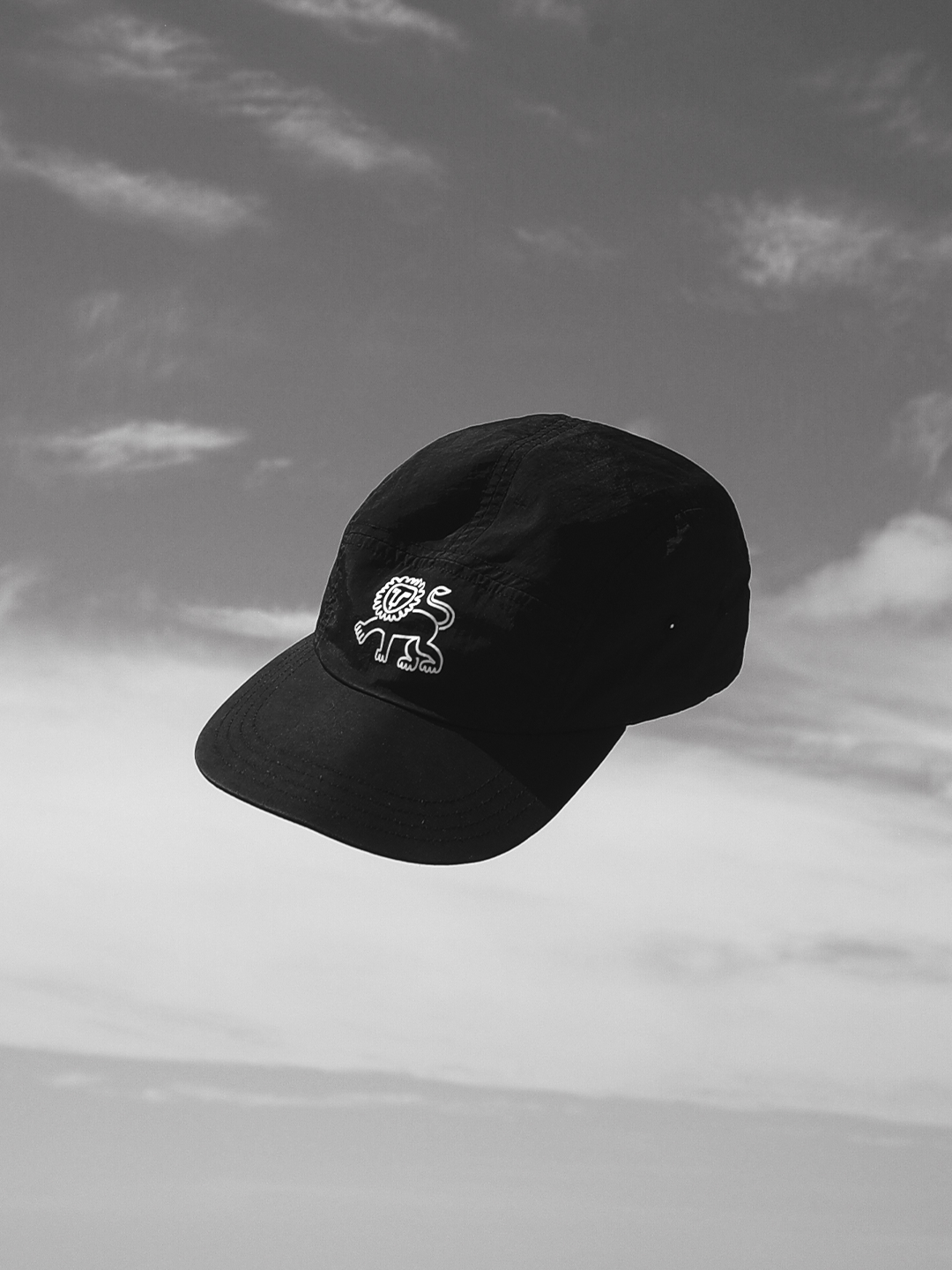 Lion Performance Hat